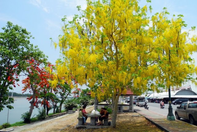 7 lý do nên chọn nhà ở xã hội, chung cư Hope Residence Phúc Đồng Long Biên