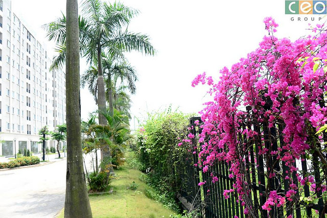 green-link-city-thanh-pho-ket-noi-xanh-nha-o-xa-hoi-tien-duong green-link-city-thanh-pho-ket-noi-xanh-nha-o-xa-hoi-tien-duong