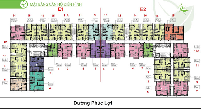 Mặt bằng Eco Home Phúc Đồng long biên sàn căn hộ điển hình Mặt bằng Eco Home Phúc Đồng long biên sàn căn hộ điển hình